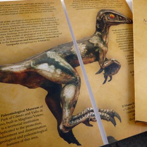 Brochure Museo Paleontologico di Magliano Vetere